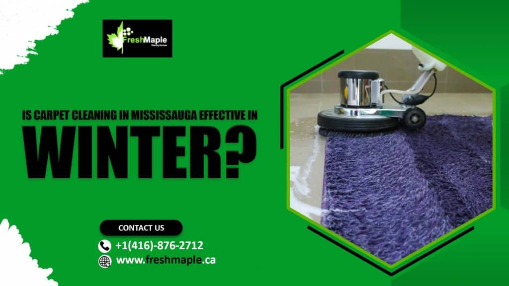 Is Carpet Cleaning Mississauga