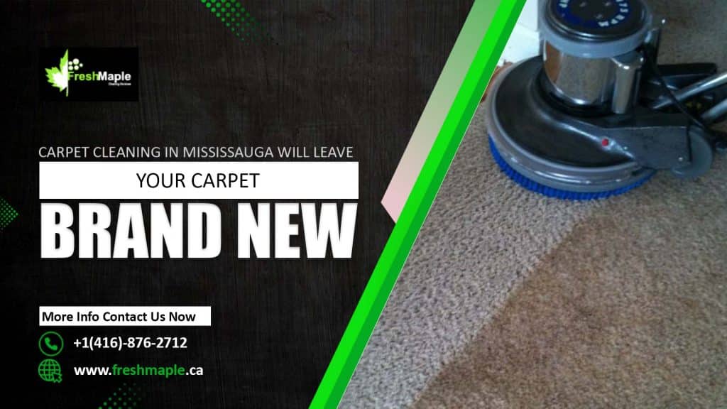 Carpet Cleaning in Mississauga