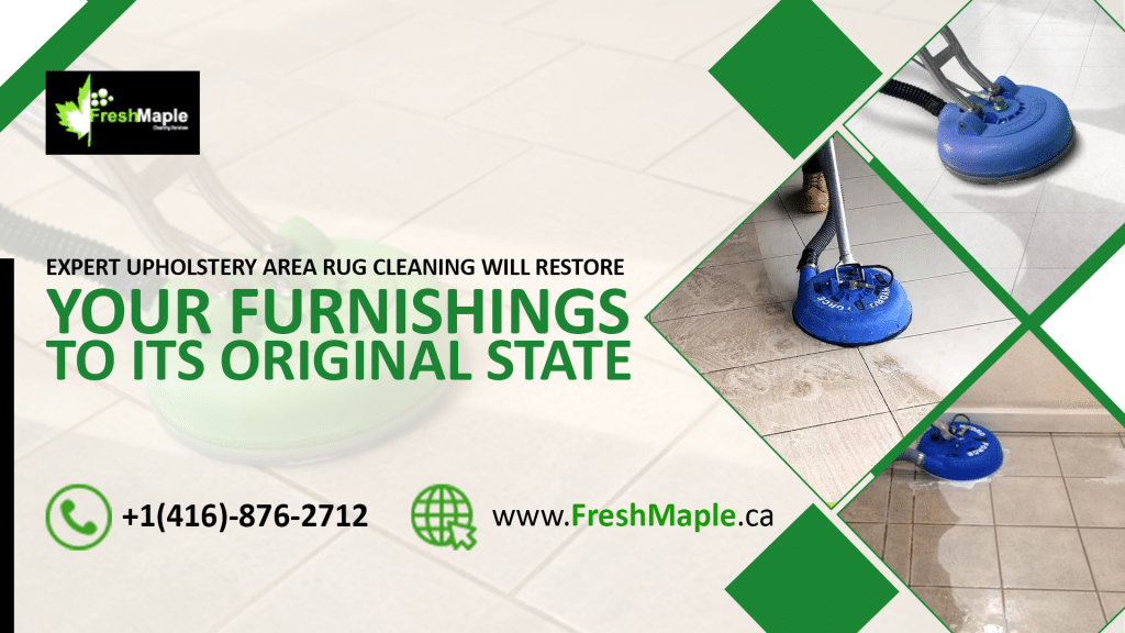 Expert upholstery & area Rug Cleaning will Restore your furnishings to its Original State