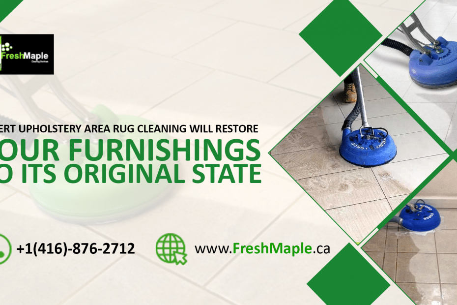 Expert upholstery & area Rug Cleaning will Restore your furnishings to its Original State