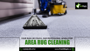 Upholstery Area Rug Cleaning