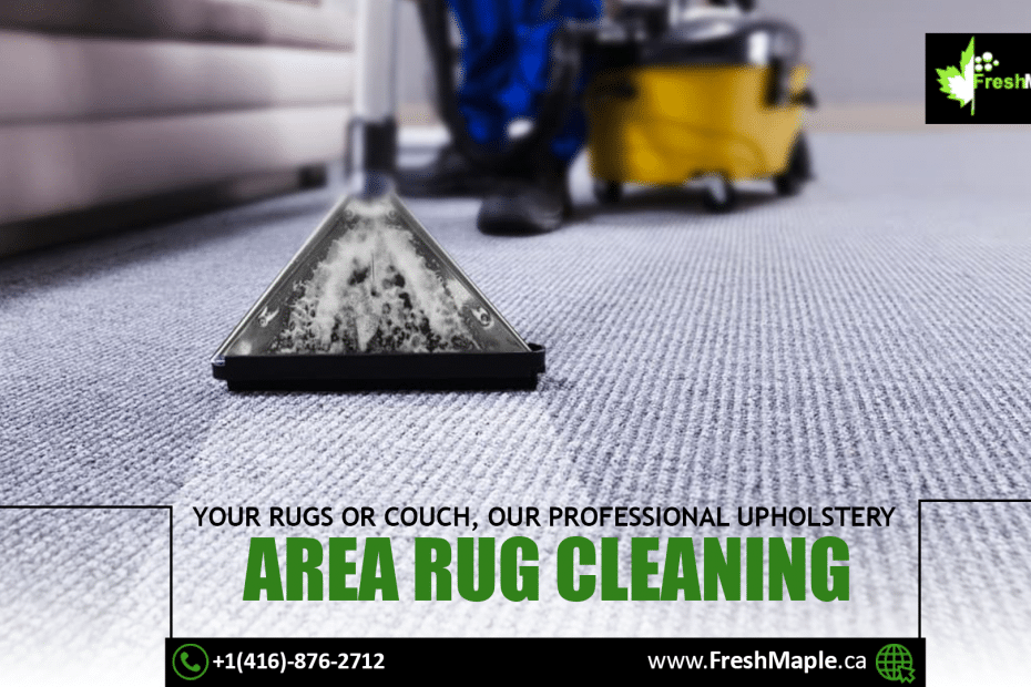 Upholstery Area Rug Cleaning