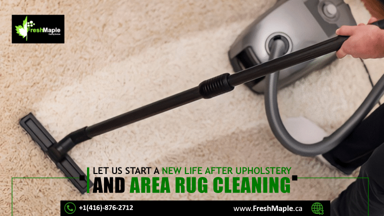 Upholstery Area Rug Cleaning