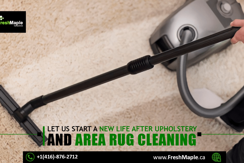 Upholstery Area Rug Cleaning